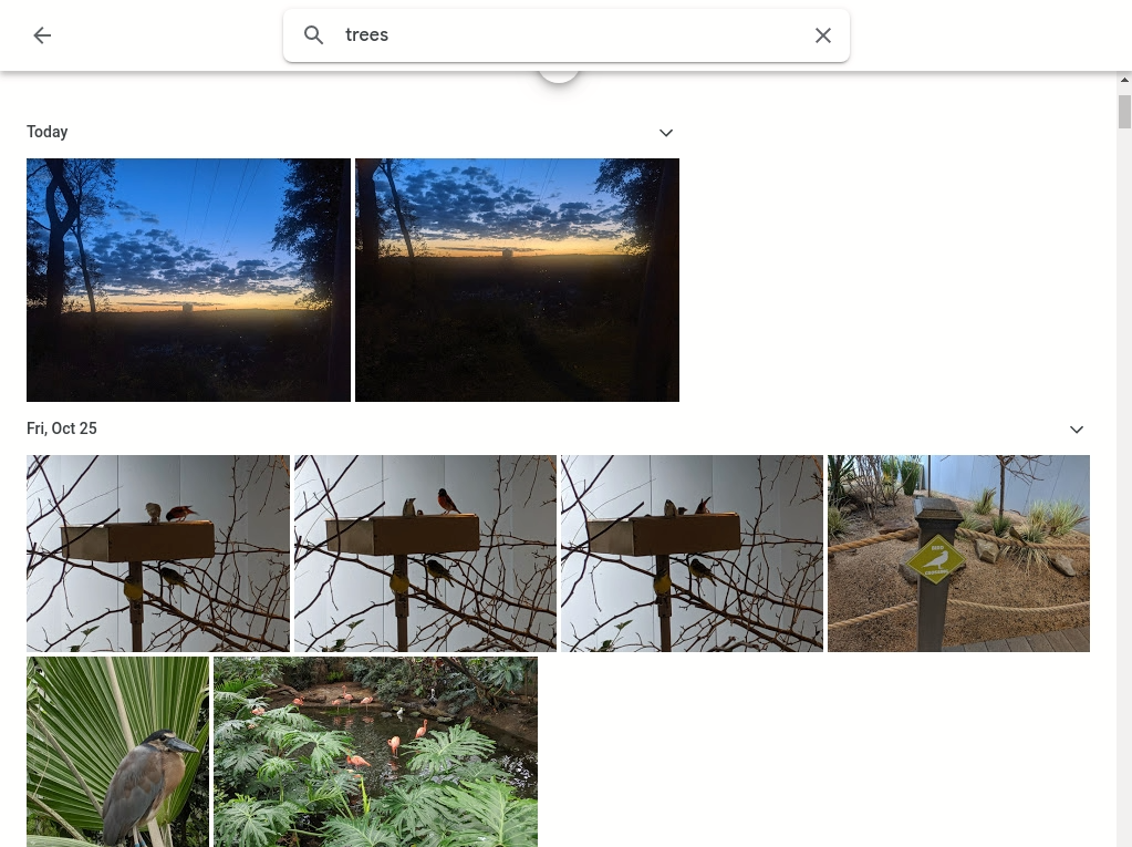 A screenshot of a photo sharing website with the search result for a query "trees" showing several pictures of birds and trees.