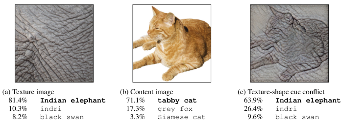 MLiP: Model Testing beyond Accuracy